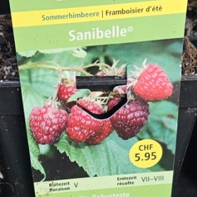 Sanibelle 2026-02-24 15.12.